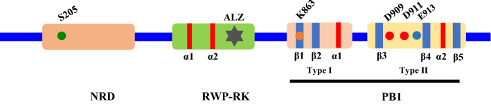 Fig. 2