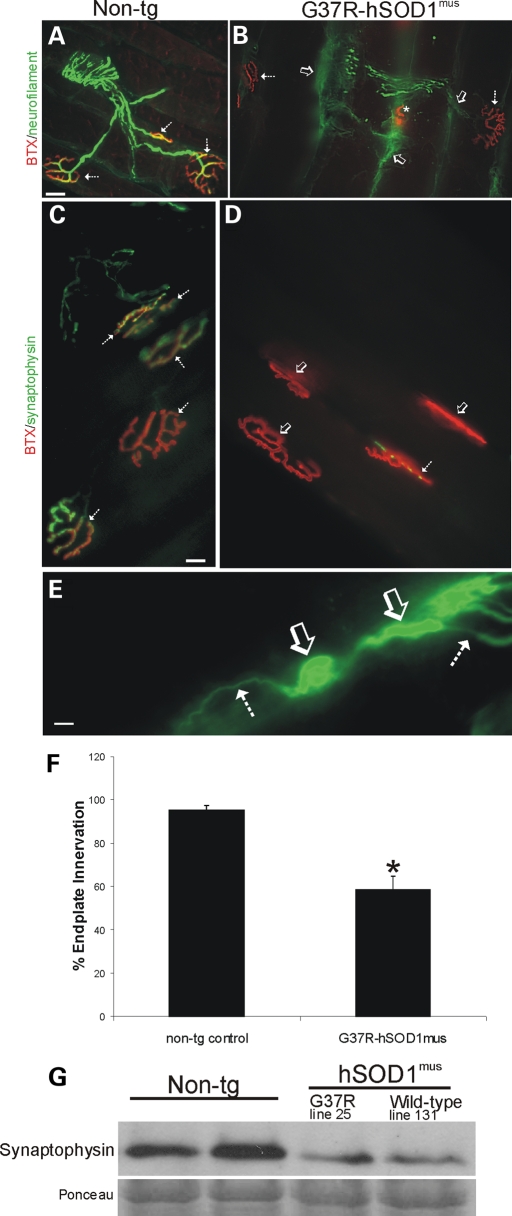 Figure 6.