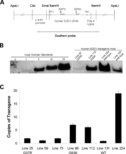 Figure 1.