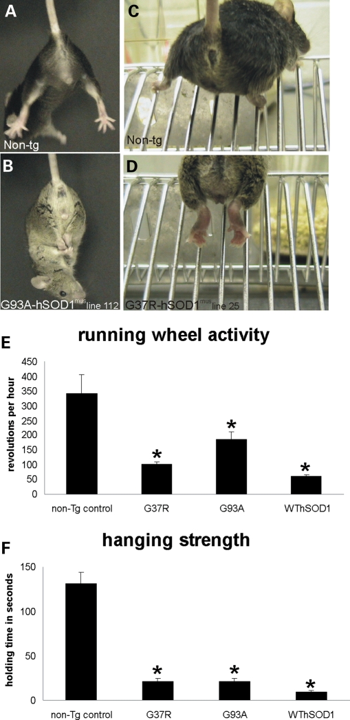 Figure 3.