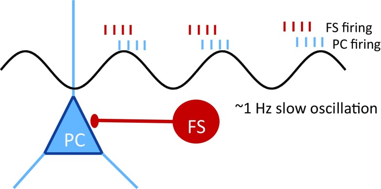 Fig. 1