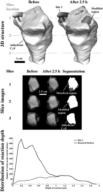 Fig 8