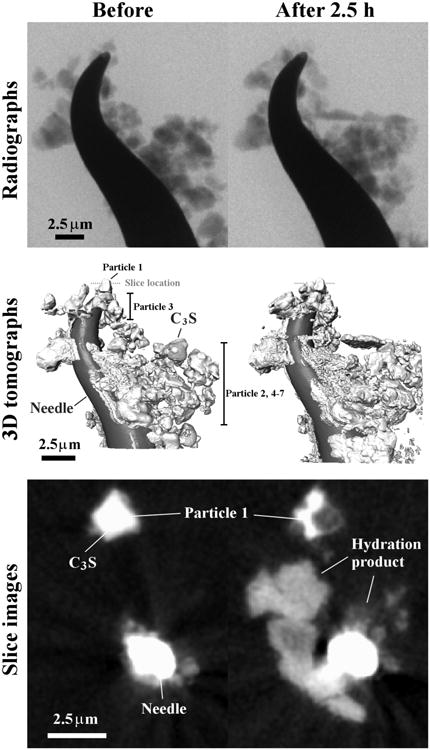 Fig 3