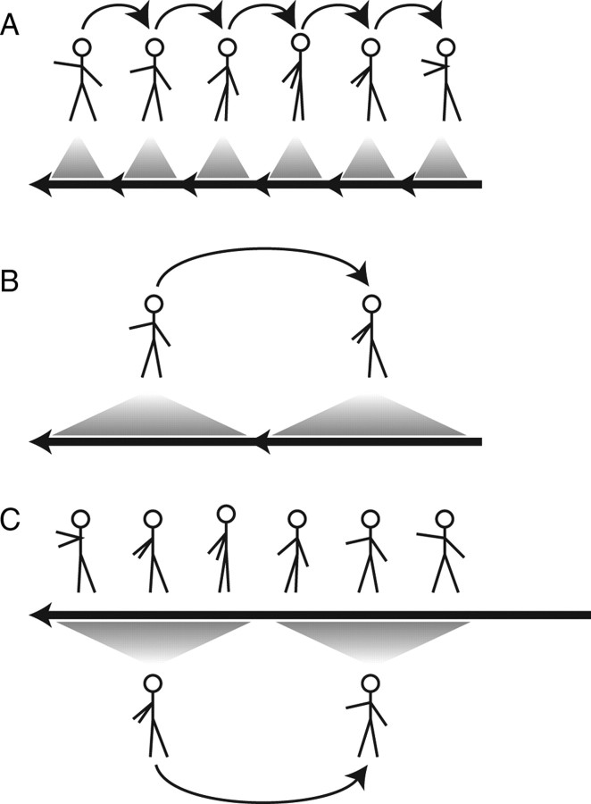 Figure 16.