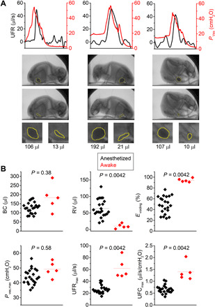 Fig. 6