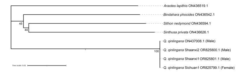 Figure 6.