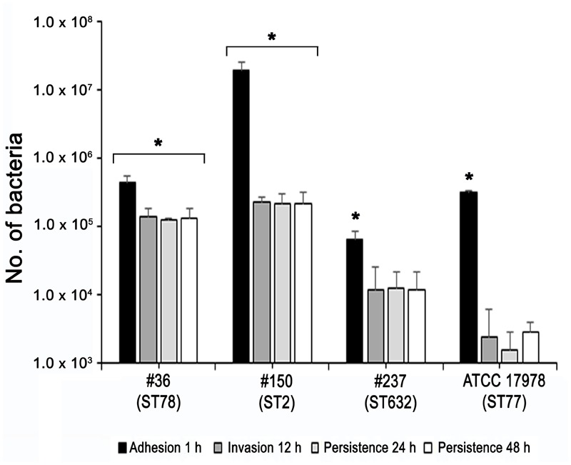 FIGURE 5