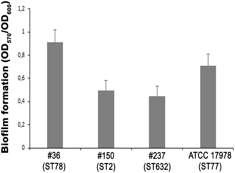 FIGURE 4