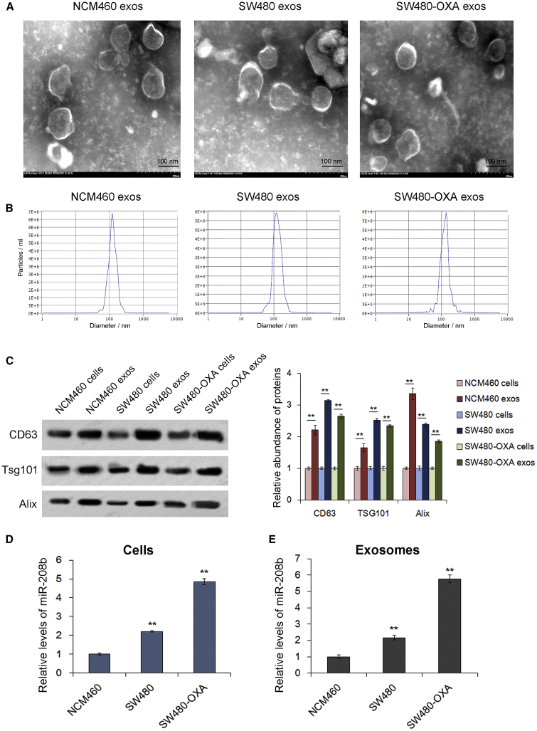 Figure 3