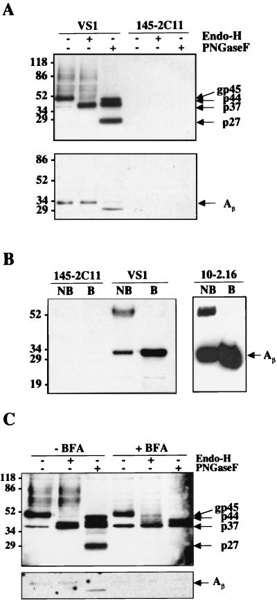 FIG. 5
