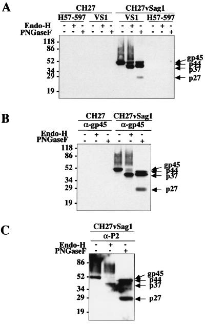 FIG. 3