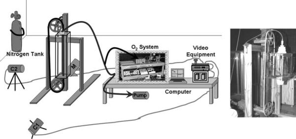 Fig. 1