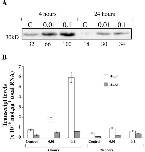 Figure 4.