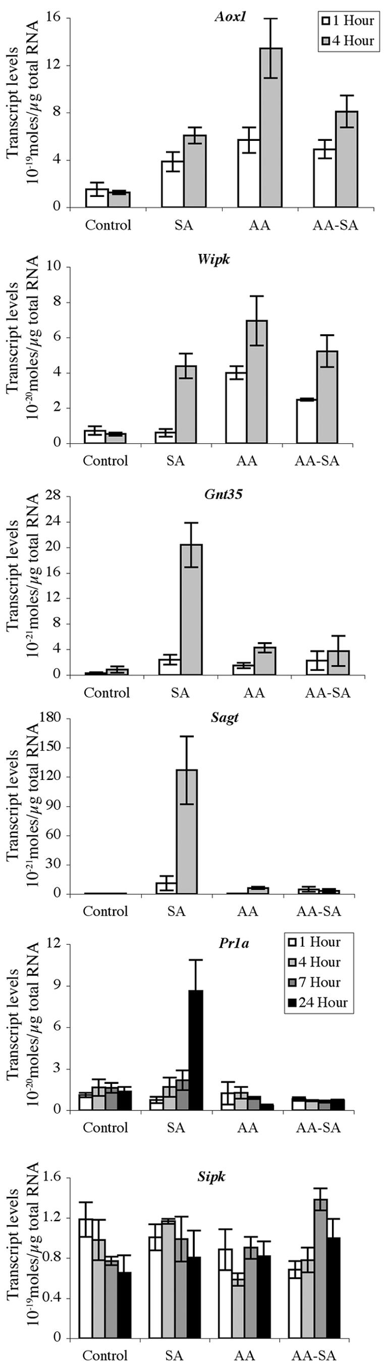 Figure 5.