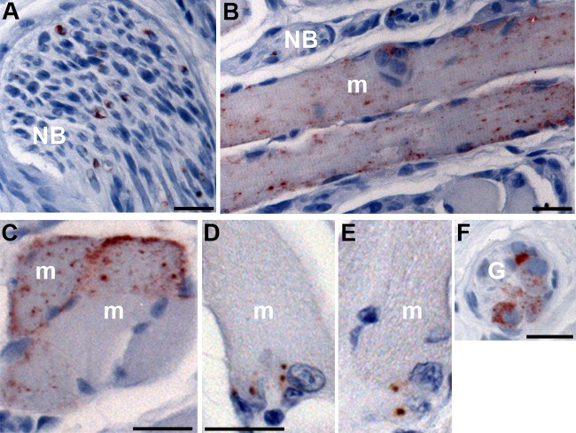 FIG 2