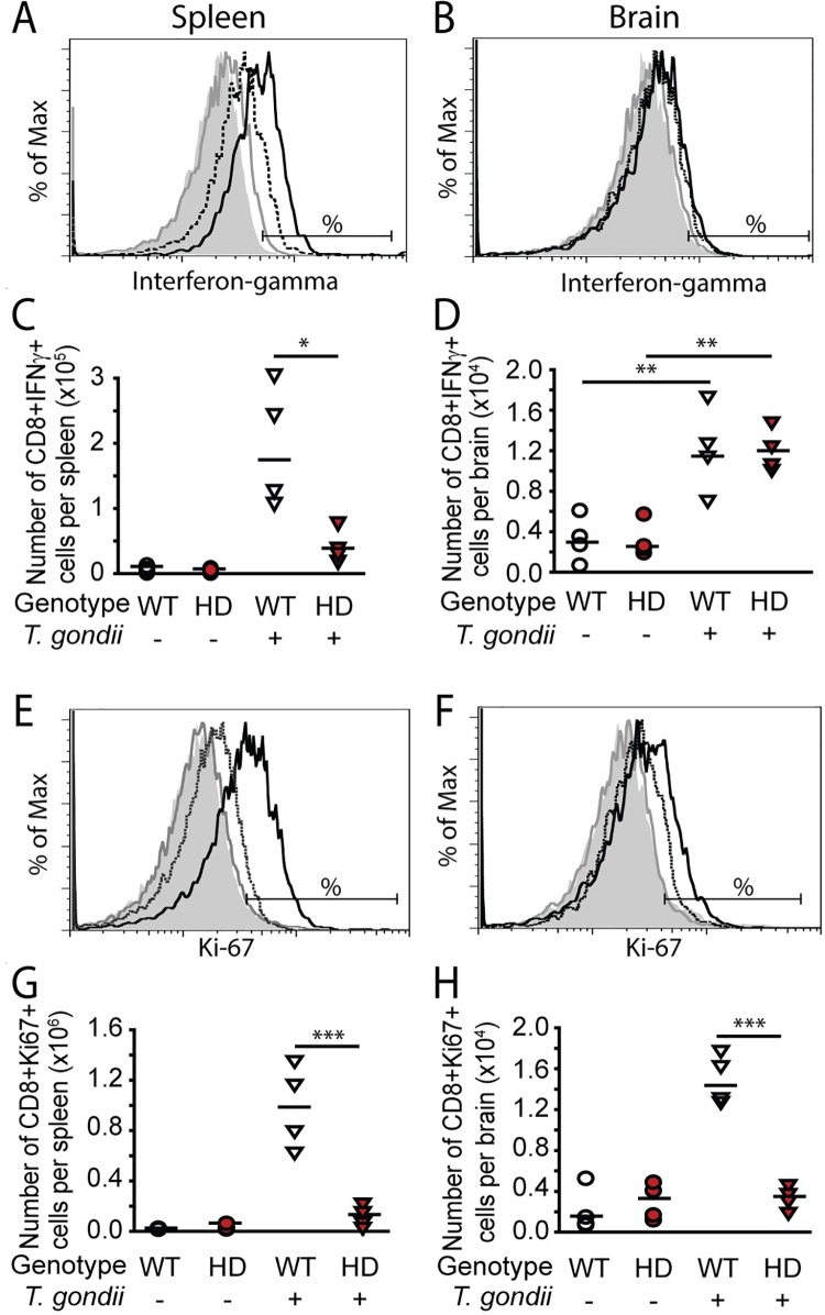 Fig 5