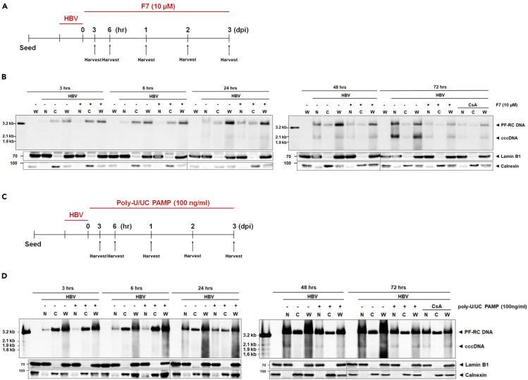 Figure 4