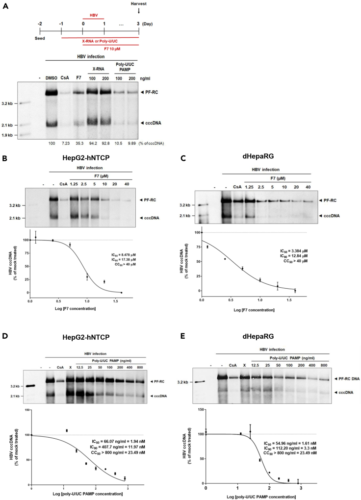 Figure 2