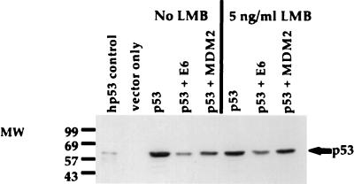 FIG. 6