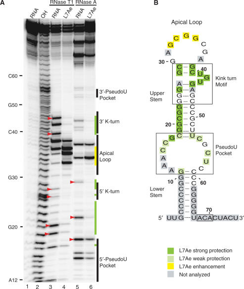 Figure 6.