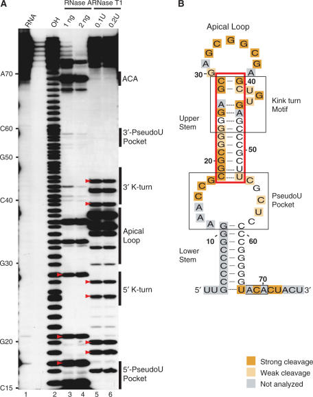 Figure 5.