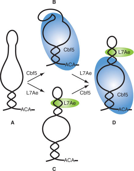 Figure 7.