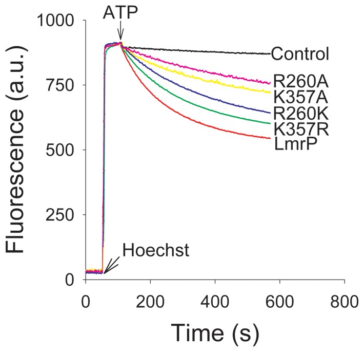 Figure 5