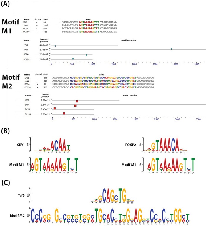 Figure 2