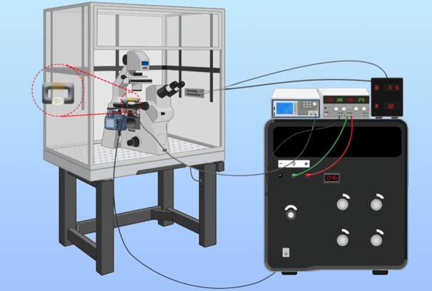 Fig. 3