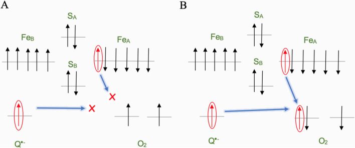Fig. 16