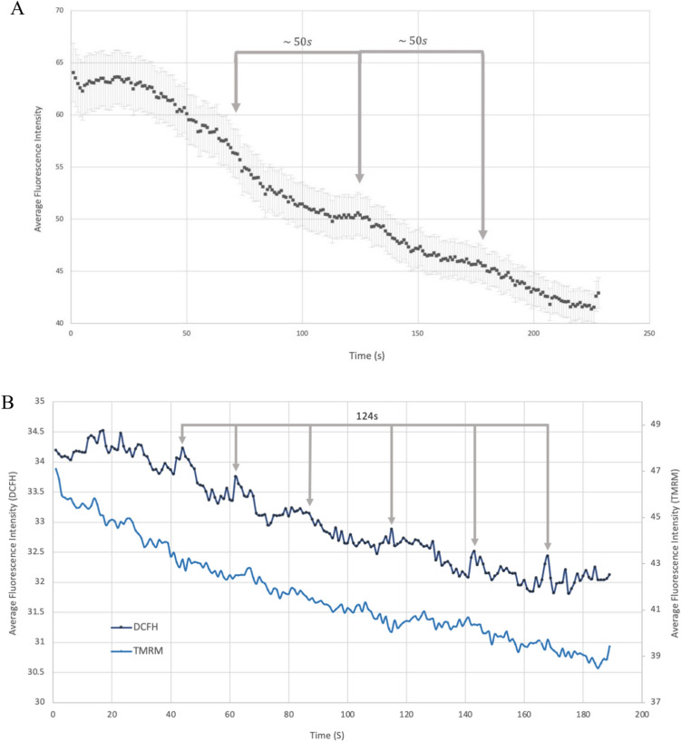 Fig. 13