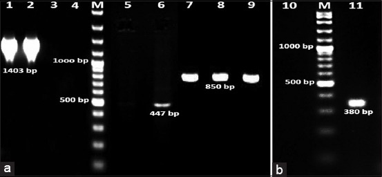 Figure-3