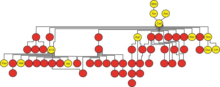 FIGURE 2