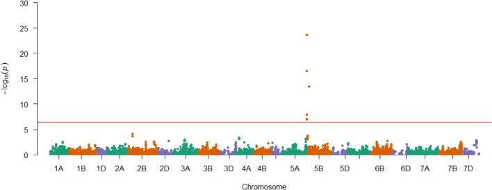 FIGURE 3