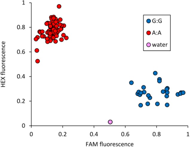 FIGURE 4