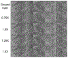 Figure 6: