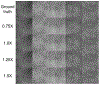 Figure 5: