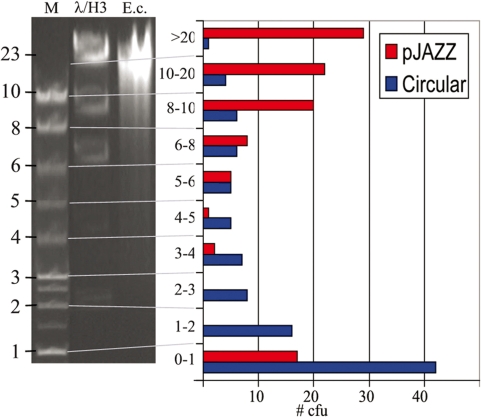 Figure 5.