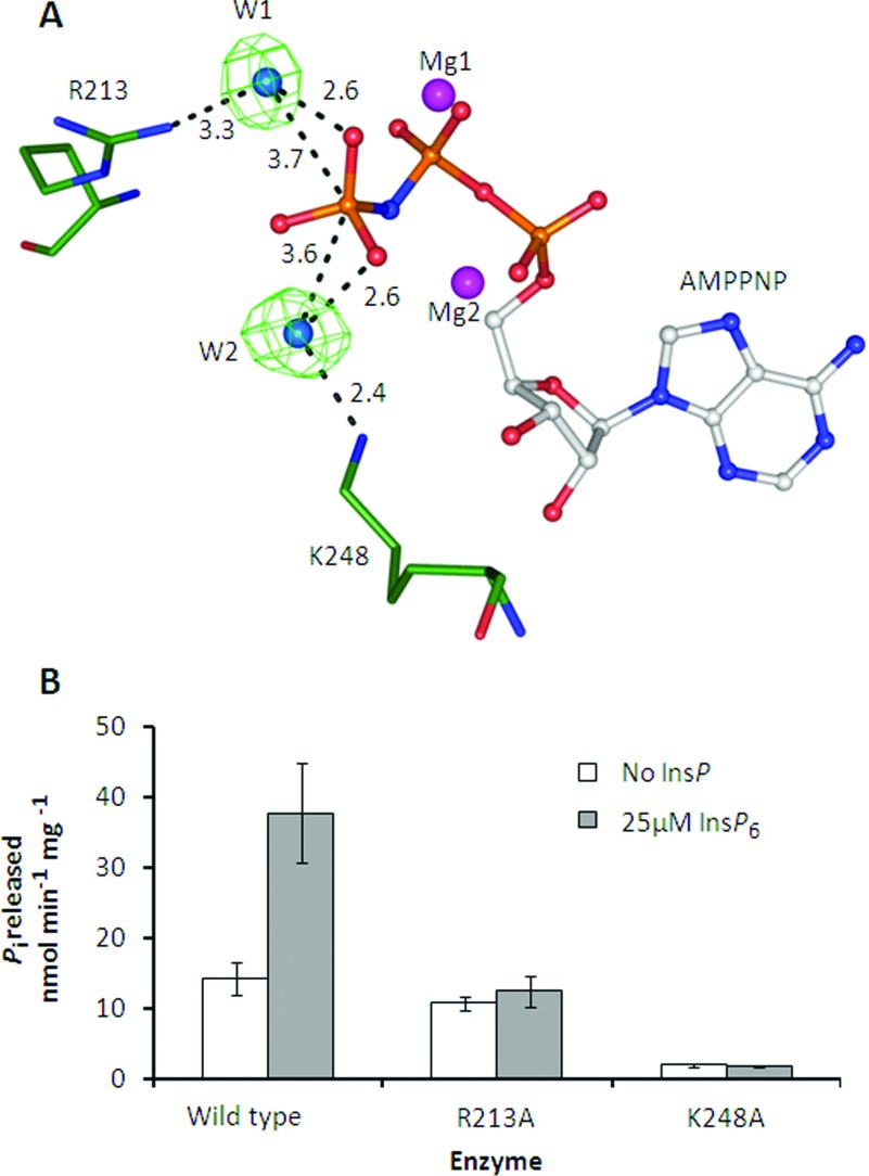 Figure 9