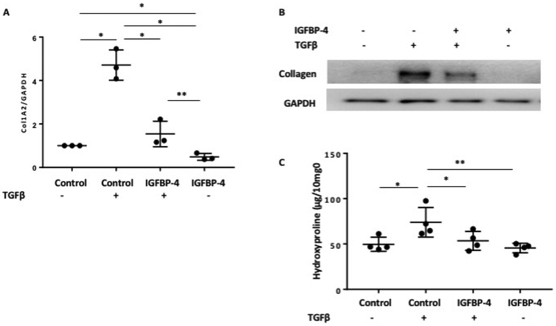 Figure 2: