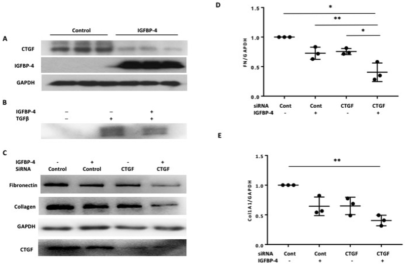 Figure 6: