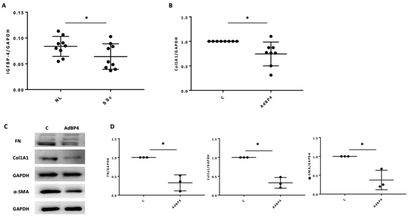 Figure 3: