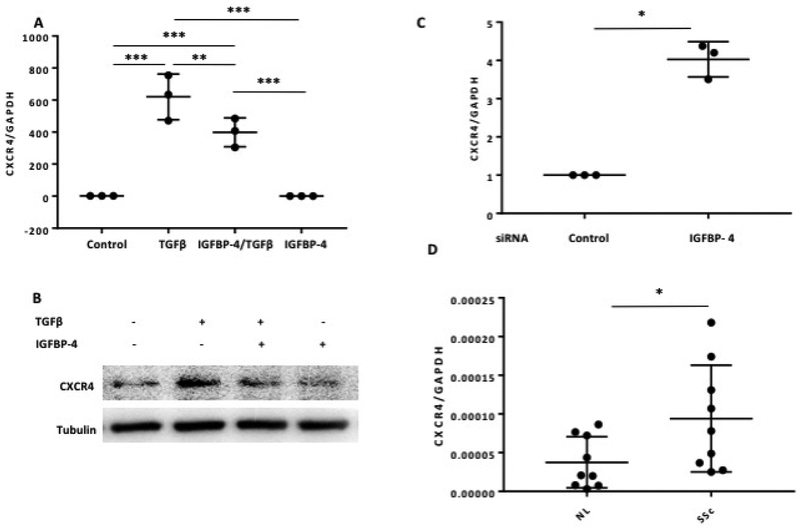 Figure 5: