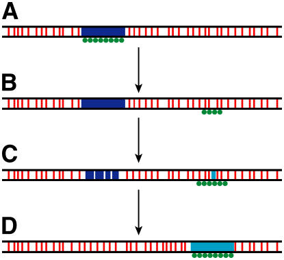 Figure 7.