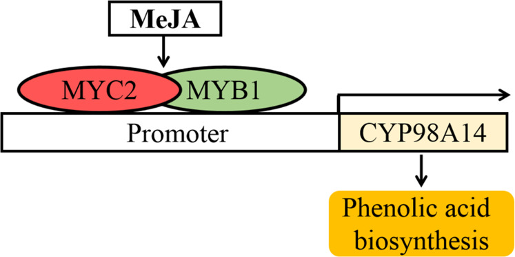 Fig. 8