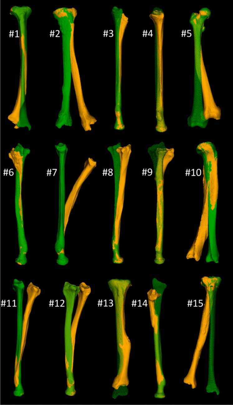 Figure 7