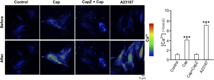 FIGURE 6