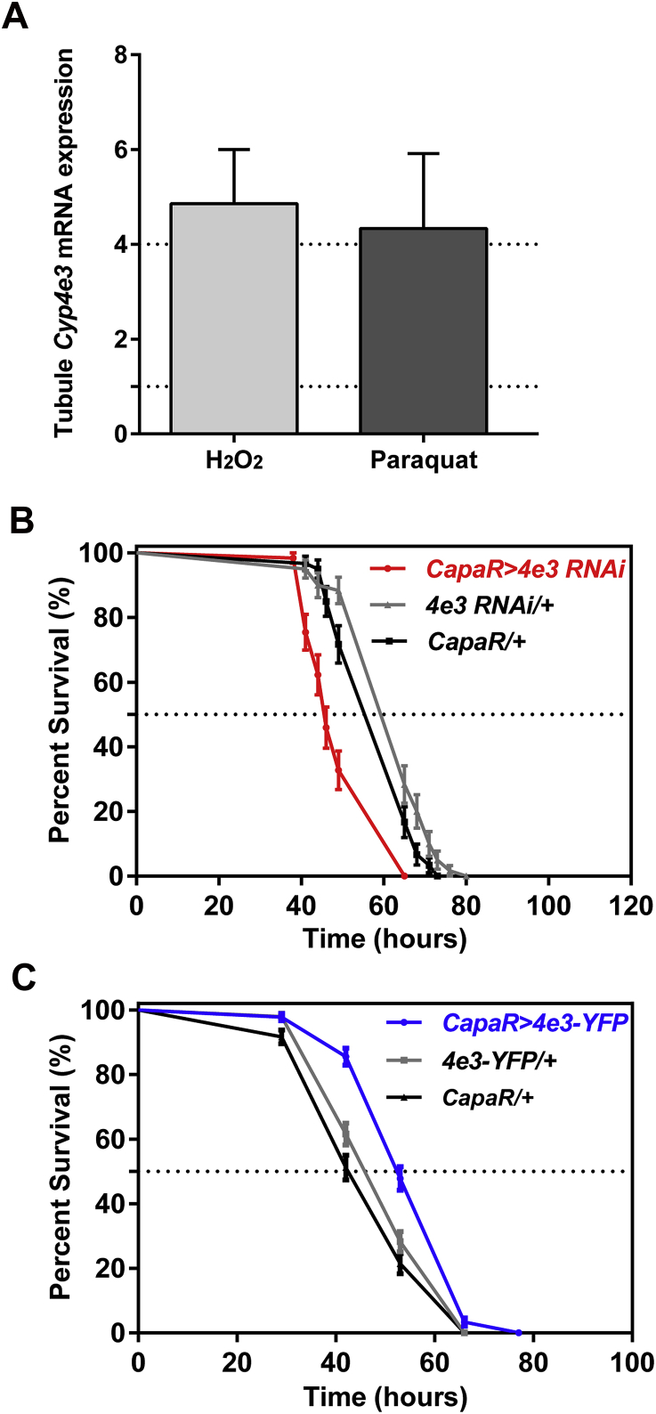 Fig. S4