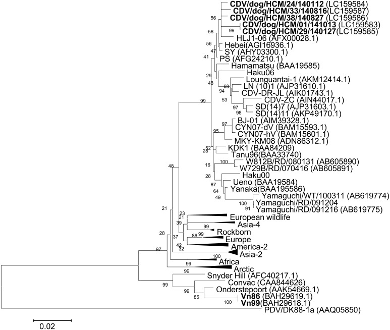 Fig.1.