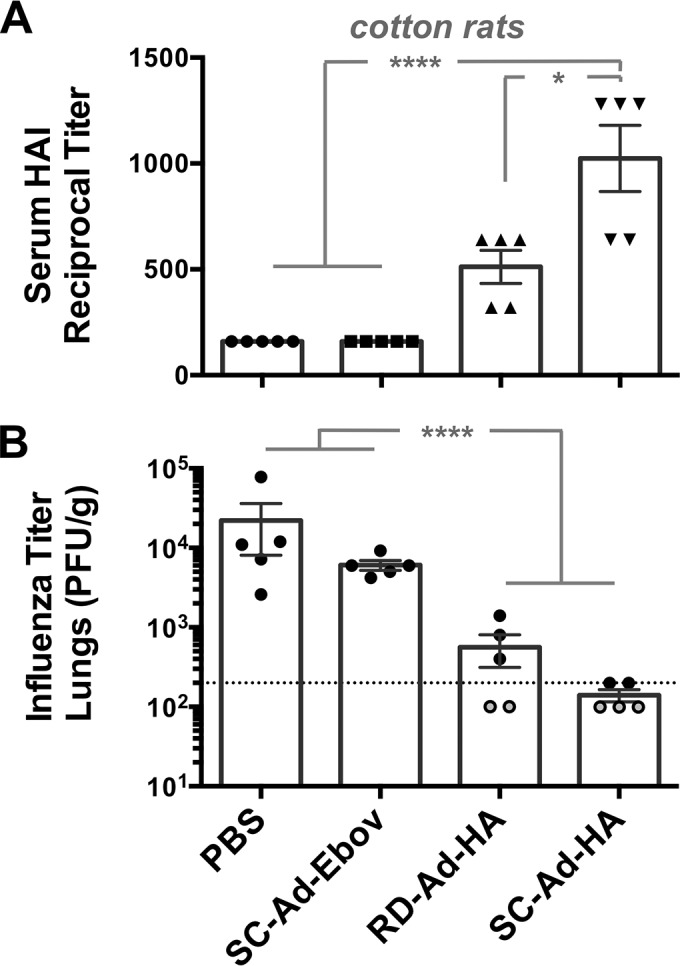 FIG 6